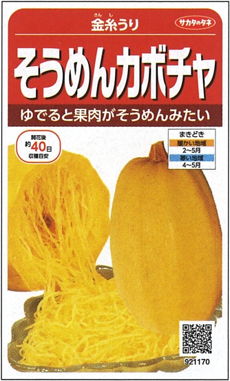 サカタのタネ カボチャ種子 金糸うり そうめんカボチャ 実咲小袋[921170]【取り寄せ注文】※春のみの商品＊種子有効期限2025年10月末