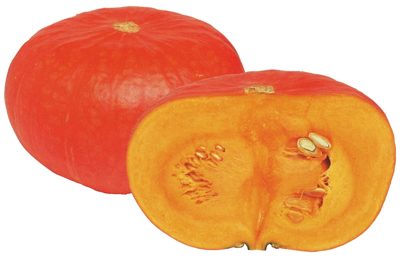 雪印種苗　カボチャ種子　朱里【取り寄せ注文】