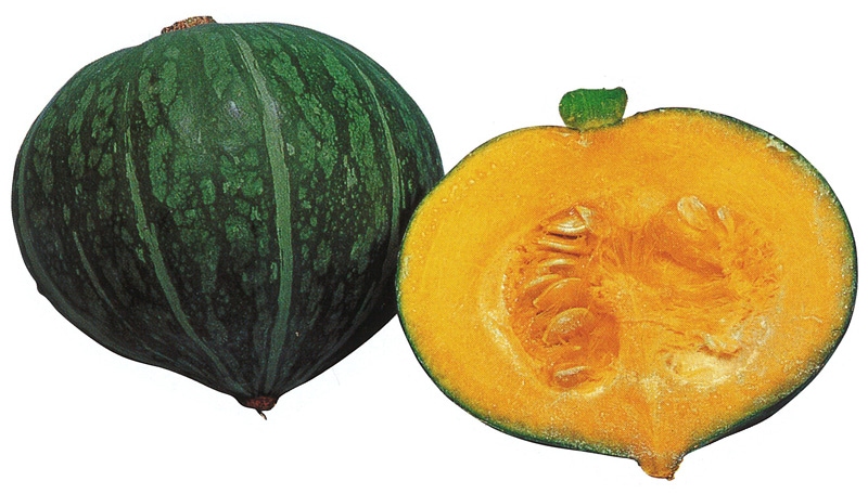 雪印種苗　カボチャ種子　ゆきこ【取り寄せ注文】