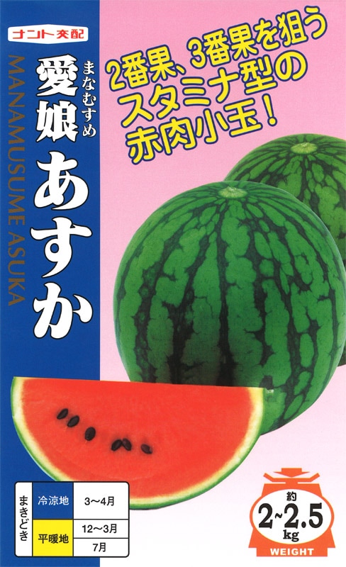 ナント種苗 小玉スイカ種子 愛娘あすか【取り寄せ注文】＊種子有効期限2026年6月末 
