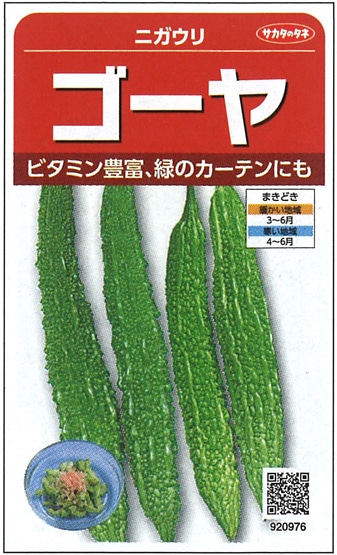 サカタのタネ　ニガウリ種子　ゴーヤ　実咲小袋[920976]【取り寄せ注文】＊種子有効期限2025年10月末※春のみの商品