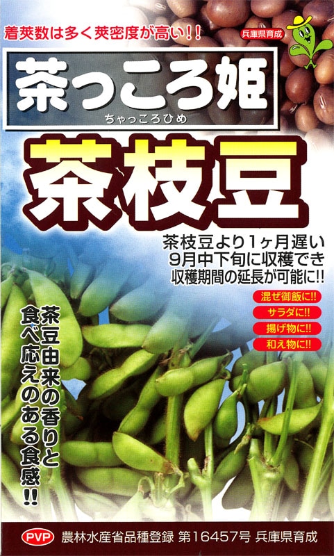 兵庫県育成　エダマメ種子　茶っころ【次回入荷予定2024年4月～】