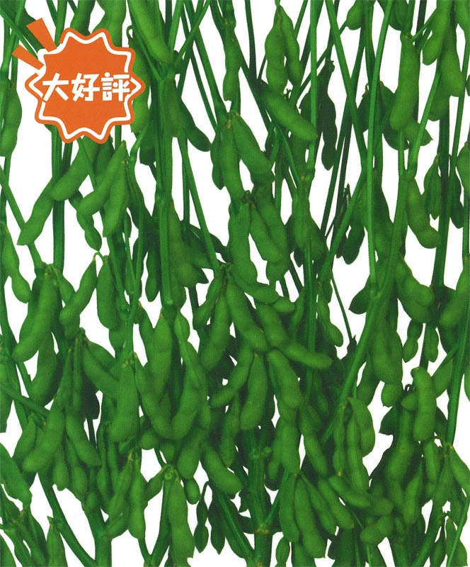 雪印種苗 エダマメ種子 青雫【取り寄せ注文】＊種子有効期限2026年1月末