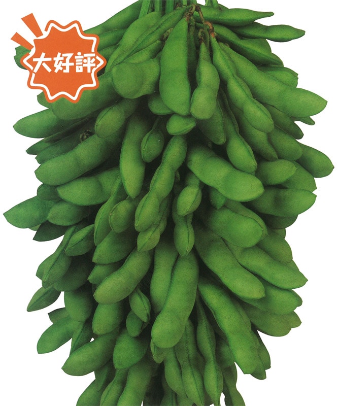 雪印種苗 エダマメ種子 恋姫【取り寄せ注文】【2026年春種予約商品】