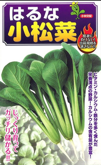 小林種苗 コマツナ種子 はるな＊種子有効期限2026年5月末