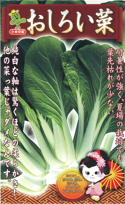 小松菜 種 里きらり 葉菜種子 2dl 2023年10月有効期限 15個 小松菜 種