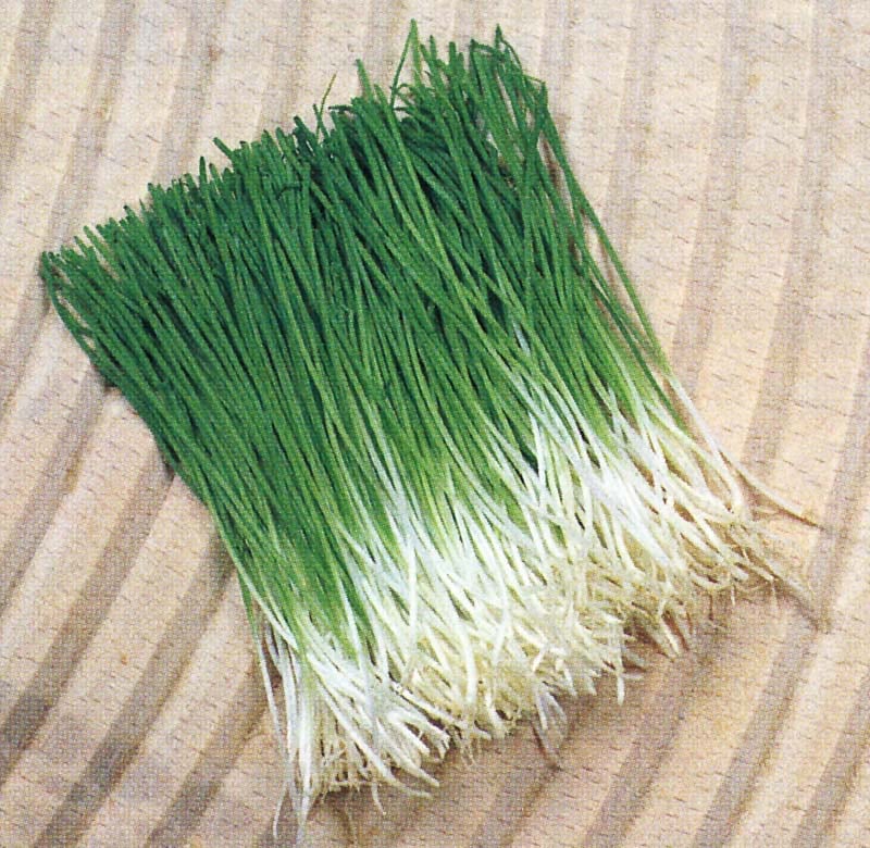 タキイ種苗 ネギ種子 かおり芽葱[ANE151]【取り寄せ注文】【2026年春種予約商品】