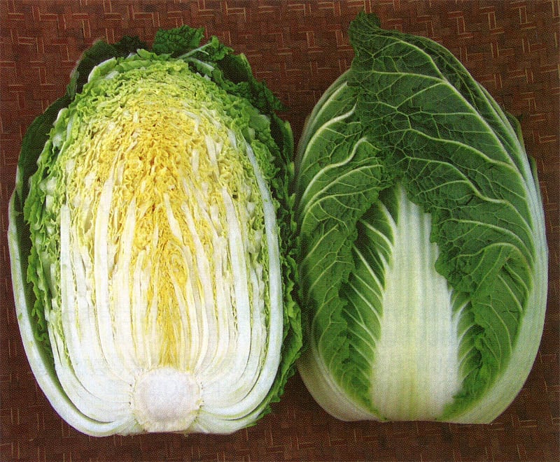 野崎採種場 ハクサイ種子 冬の恵【取り寄せ注文】