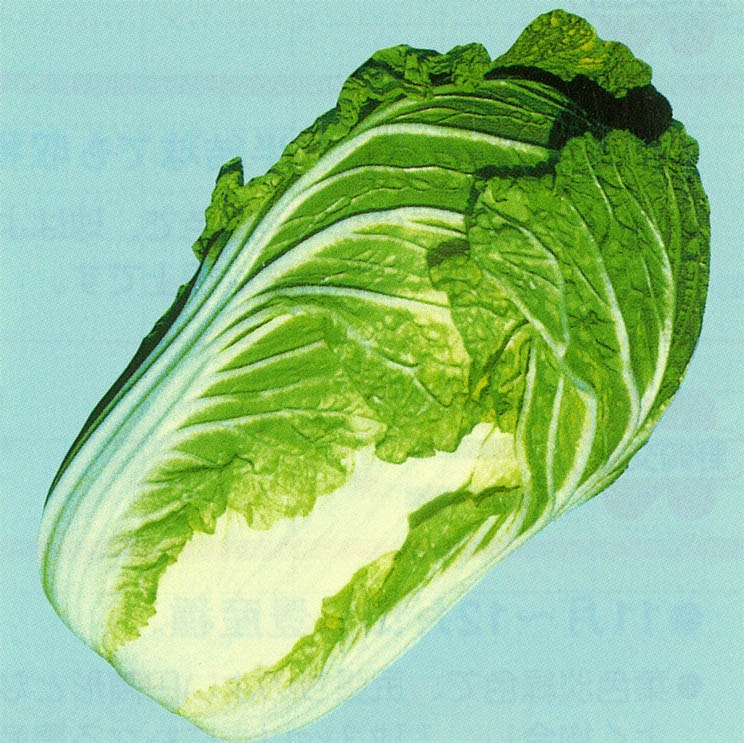 野崎採種場 ハクサイ種子 交配二号【取り寄せ注文】