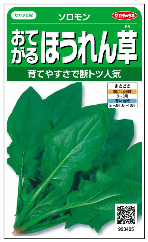 サカタのタネ　ホウレンソウ種子　ソロモン【取り寄せ注文】