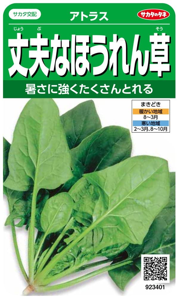 サカタのタネ ホウレンソウ種子 アトラス【取り寄せ注文】＊種子有効期限2026年5月末