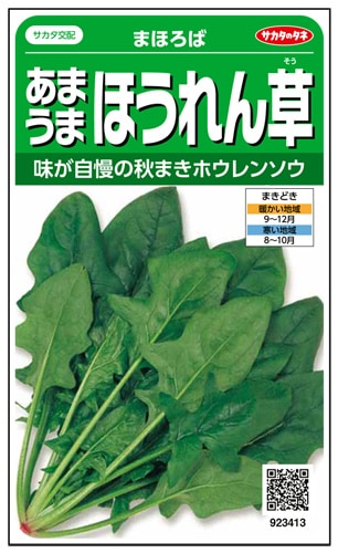 サカタのタネ ホウレンソウ種子 まほろば【取り寄せ注文】＊秋のみ商品＊種子有効期限2026年5月末