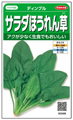 サカタのタネ　ホウレンソウ種子　ディンプル　サラダほうれんそう