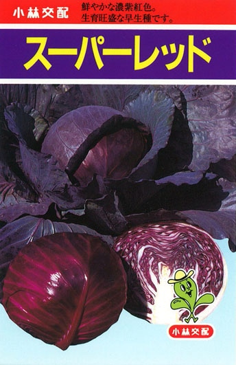 小林種苗 キャベツ種子 スーパーレッド ＊種子有効期限2026年11月末