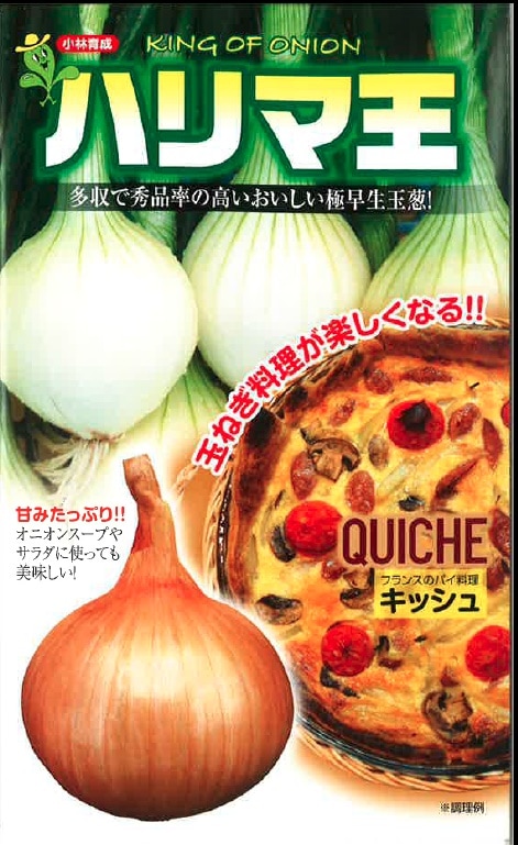 小林種苗 タマネギ種子 ハリマ王 【2026年秋種予約商品】
