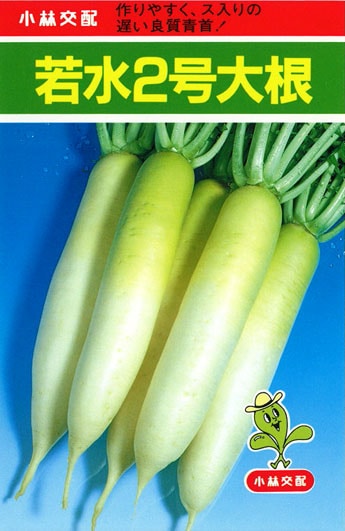 小林種苗 ダイコン種子 若水2号大根 ＊種子有効期限2026年5月末
