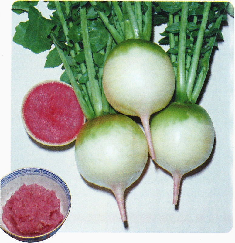 タキイ種苗 中国野菜 紅心大根（長安青丸紅心）[ADA291]【取り寄せ注文】＊種子有効期限2026年4月末