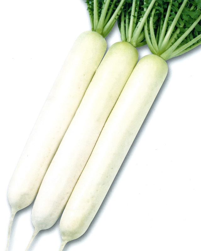 雪印種苗　ダイコン種子　長香太【取り寄せ注文】【2025年終売】※2ｄⅬのみ在庫あり、なくなり次第終了