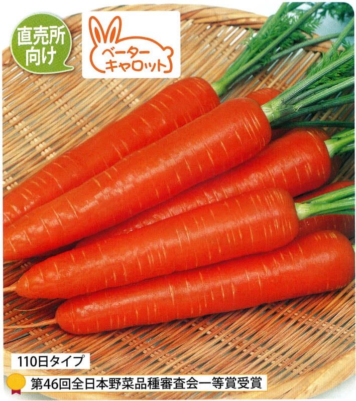 ヘンニンジン Amazon | KBUYSGX ニンジンの形をしたペン 漫画のペン ウサギの人参