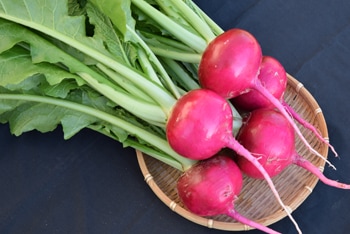 小林種苗 カブ種子 あかくら＊種子有効期限2026年5月末 ※低発芽につき全規格10%増量