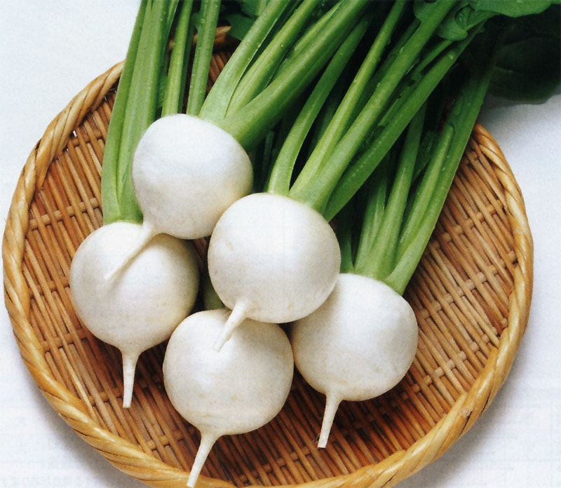 タキイ種苗 カブ種子 CRゆきばな[AKA038]【取り寄せ注文】※2026年4月末取り扱い中止予定、代替商品：なつばな