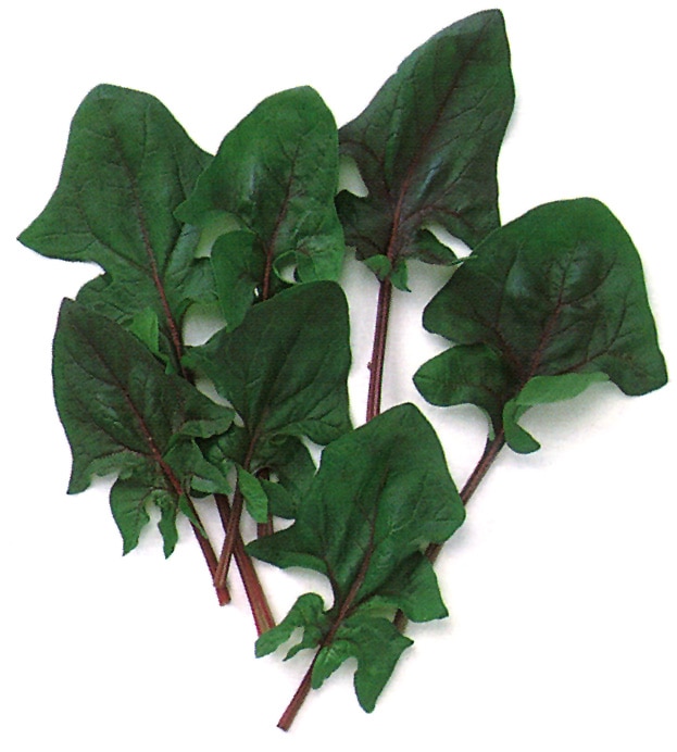 中原採種場 ベビーリーフ種子 レッドスピナッチ(F1)【取り寄せ注文】