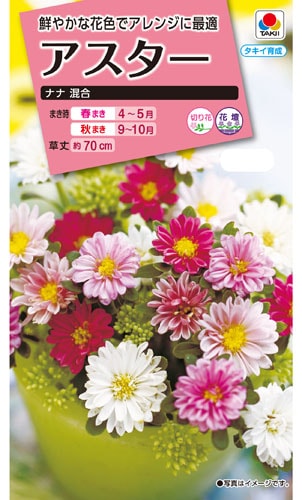 タキイ NL300 アスター ナナ混合 小袋 [FAS380]【取り寄せ注文】※春のみ商品【2026年春種予約商品】