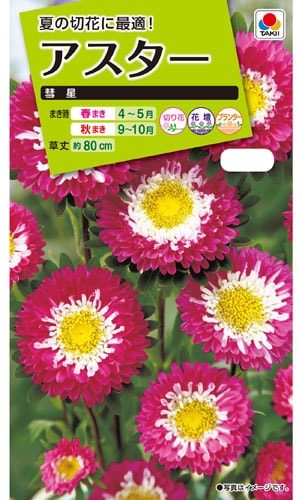 タキイ NL200 アスター 彗星 小袋[FAS161]【取り寄せ注文】※春のみ商品【2026年春種予約商品】 