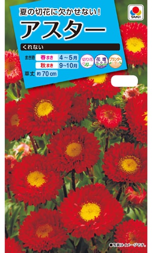 タキイ NL150 アスター くれない 小袋[FAS541]【取り寄せ注文】※春のみ商品【2026年春種予約商品】