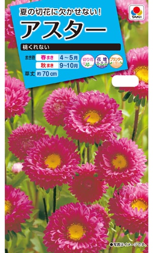 タキイ NL150 アスター 桃くれない 小袋[FAS553]【取り寄せ注文】※春のみ商品【2026年春種予約商品】