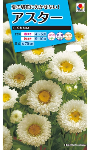 タキイ NL150 アスター 白くれない 小袋[FAS555]【取り寄せ注文】※春のみ商品【2026年春種予約商品】