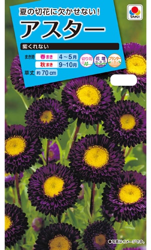 タキイ NL150 アスター 紫くれない 小袋[FAS561]【取り寄せ注文】※春のみ商品【2026年春種予約商品】