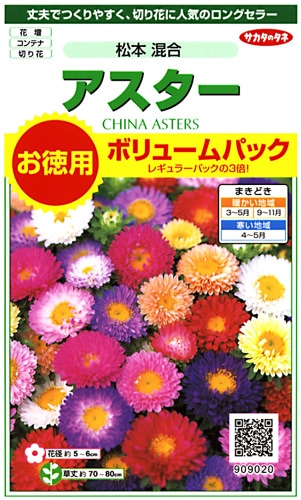 サカタのタネ アスター 松本 混合 お徳用ボリュームパック[909020]【取り寄せ注文】※春のみ商品【2026年春種予約商品】 