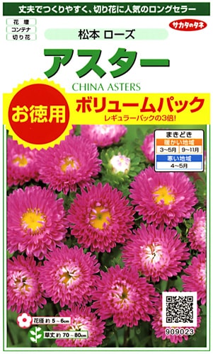 サカタのタネ アスター 松本 ローズ お徳用ボリュームパック[909023]【取り寄せ注文】※春のみ商品【2026年春種予約商品】 