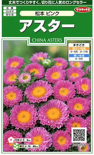 サカタのタネ 実咲250 アスター 松本 ピンク 小袋[906054]【取り寄せ注文】※春のみ商品【2026年春種予約商品】 