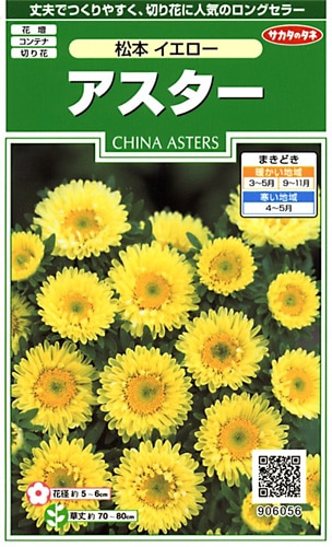 サカタのタネ 実咲250 アスター 松本 イエロー 小袋[906056]【取り寄せ注文】※春のみ商品【2026年春種予約商品】 