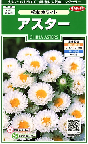 サカタのタネ 実咲250 アスター 松本 ホワイト 小袋[906059]【取り寄せ注文】※春のみ商品【2026年春種予約商品】 