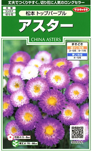 サカタのタネ 実咲250 アスター 松本 トップパープル 小袋[906061]【取り寄せ注文】※春のみ商品【2026年春種予約商品】 
