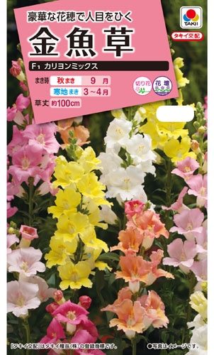 タキイ NL300 金魚草 F1カリヨンミックス 小袋 [FKG570]【取り寄せ注文】※秋のみ商品