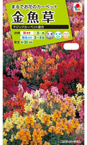 タキイ NL200　金魚草　マジックカーペット混合　小袋[FKG210]【取り寄せ注文】※秋のみ商品