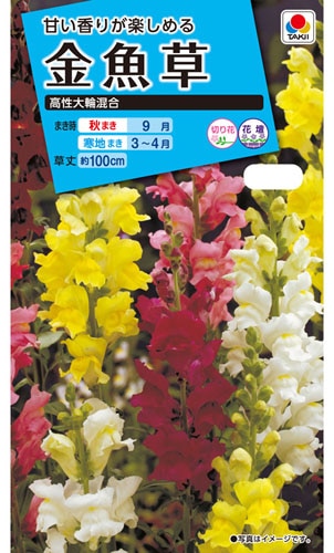 タキイ NL150　金魚草　高性大輪混合　小袋[FKG119]【取り寄せ注文】※秋のみ商品