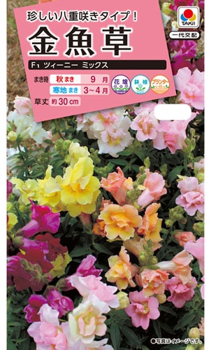タキイ NL300　金魚草　F1ツィーニーミックス　小袋[FKG211]【取り寄せ注文】※秋のみ商品