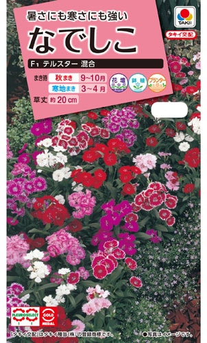 タキイ NL300 なでしこ F1テルスター混合 小袋[FND539]【取り寄せ注文】※通年商品