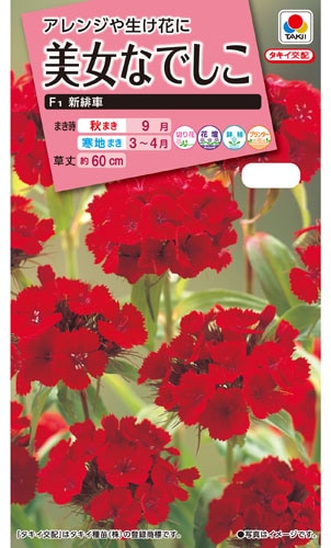 タキイ NL300　美女なでしこ　F1新緋車　小袋[FBN532]【取り寄せ注文】【2026年秋種予約商品】※秋のみ商品