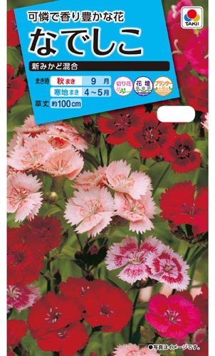 タキイ NL150　なでしこ　新みかど混合　小袋[FND110]【取り寄せ注文】【2026年秋種予約商品】※秋のみ商品