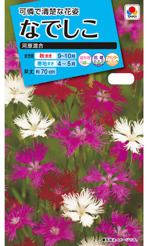 タキイ NL150 なでしこ 河原混合 小袋[FND140]【取り寄せ注文】※通年商品