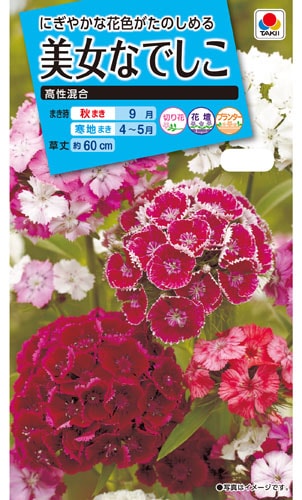 タキイ NL150 美女なでしこ 高性混合 小袋[FBN050]【取り寄せ注文】※通年商品