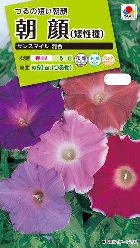 タキイ NL200　朝顔(矮性種) サンスマイル混合 小袋[FAA430]【取り寄せ注文】※春のみ商品【2026年春種予約商品】