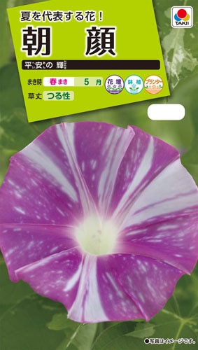 タキイ NL200 朝顔 平安の輝 小袋[FAA578]【取り寄せ注文】※春のみ商品【2026年春種予約商品】