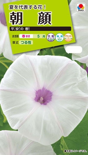 タキイ NL200 朝顔 平安の香 小袋 [FAA748]【取り寄せ注文】【2027年春種予約商品】＊春のみ商品【2026春休止品種】